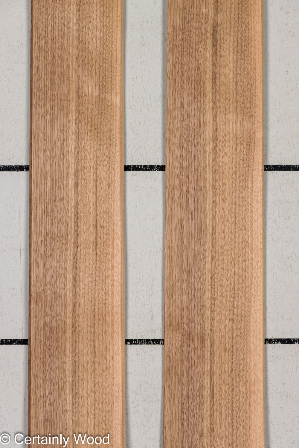 Featured Product Image