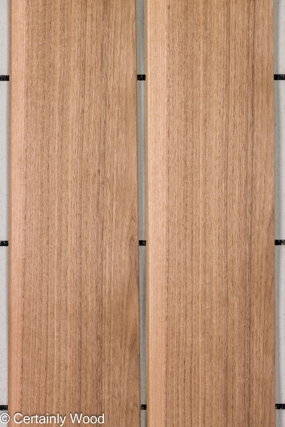 Featured Product Image