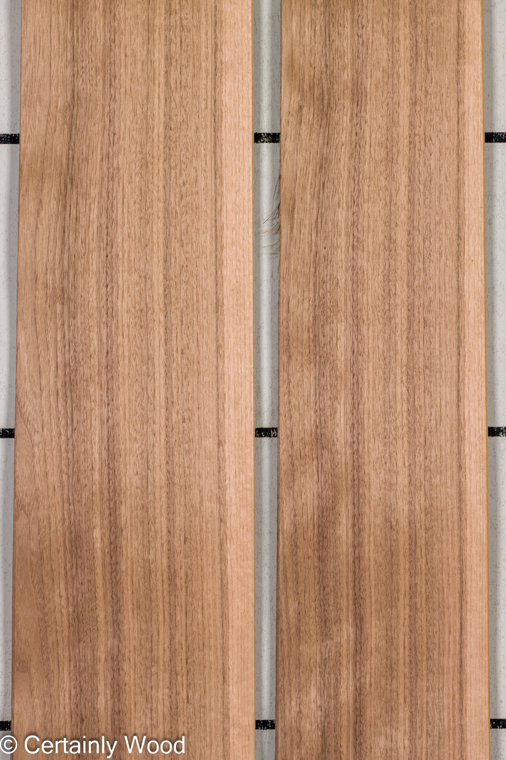 Featured Product Image