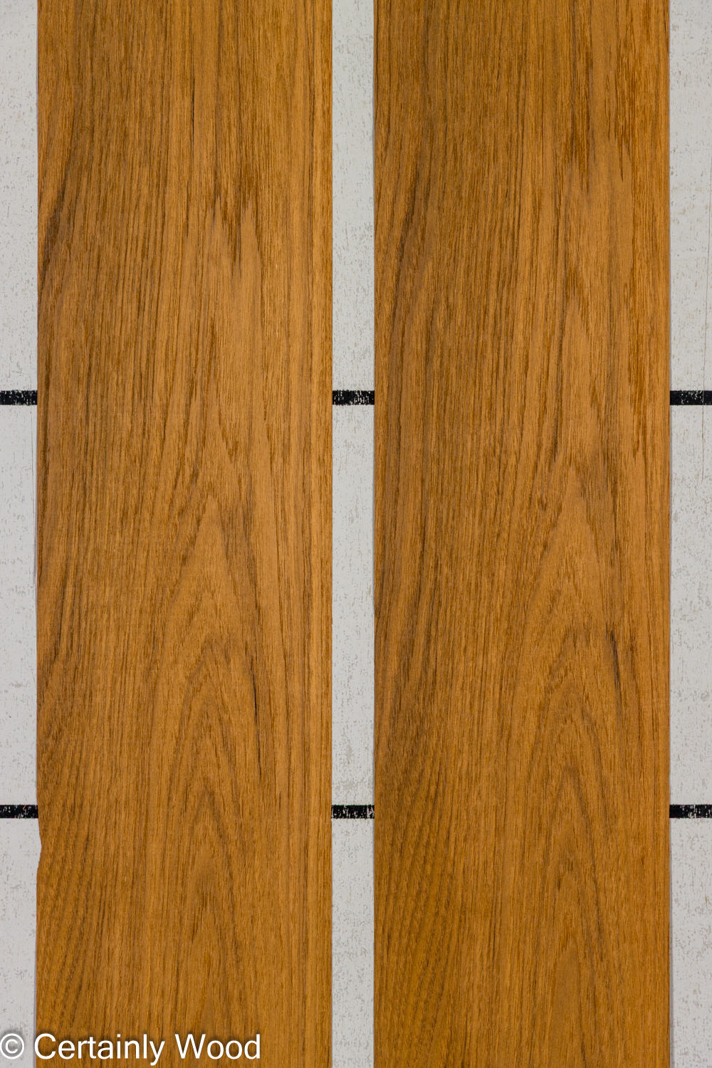 Featured Product Image