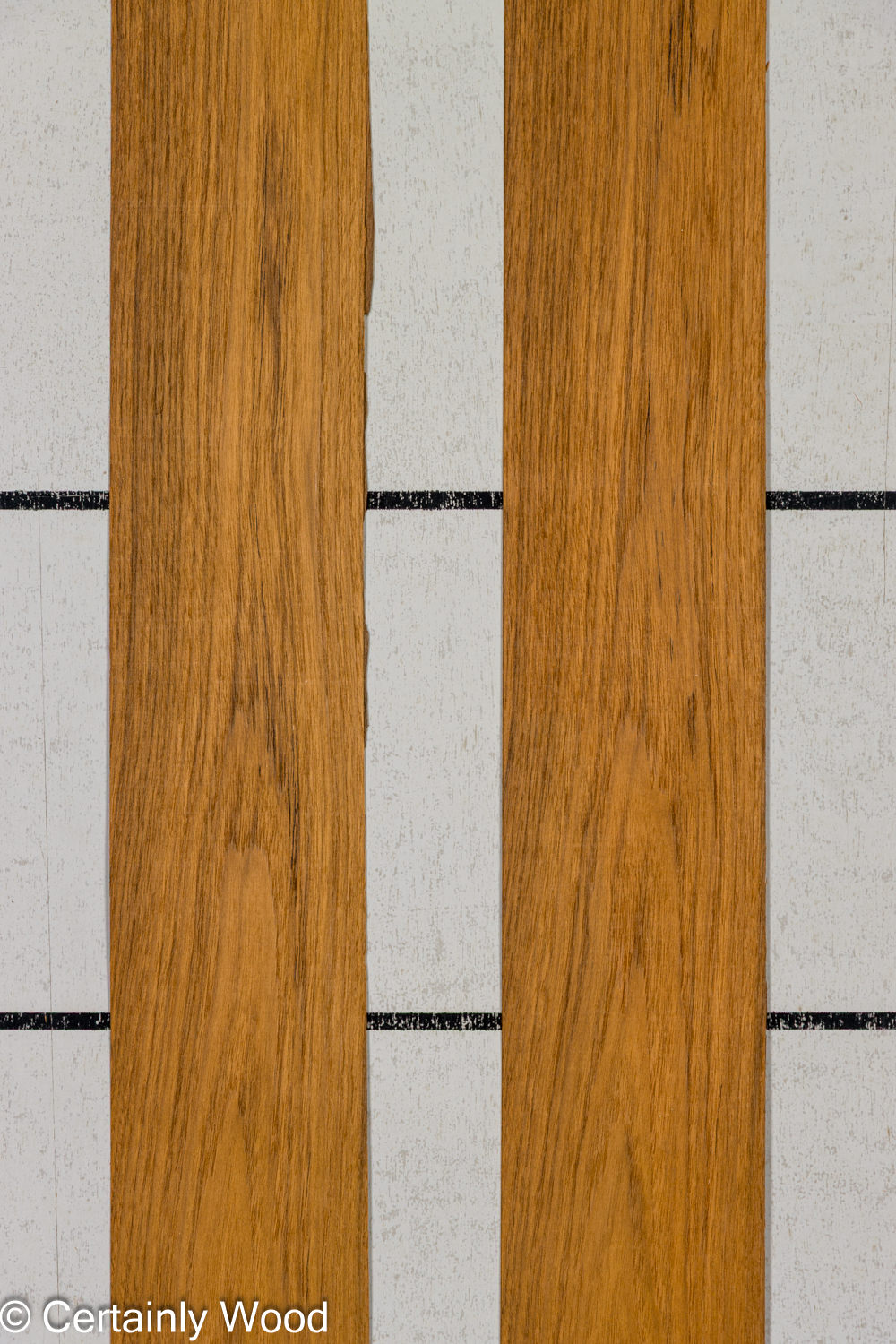 Featured Product Image