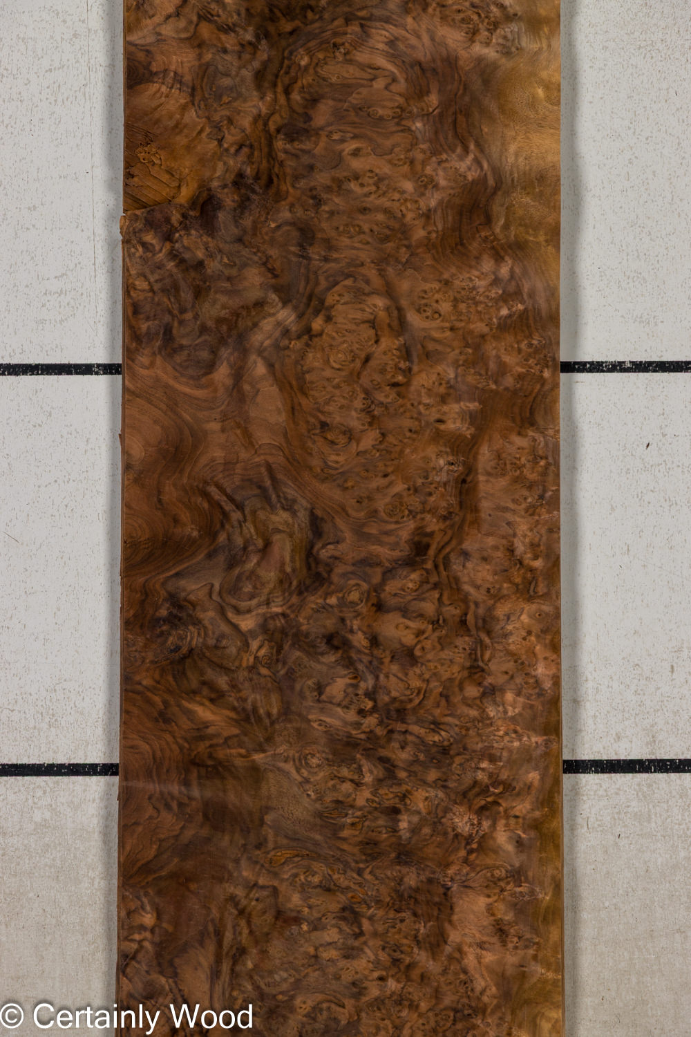 Featured Product Image