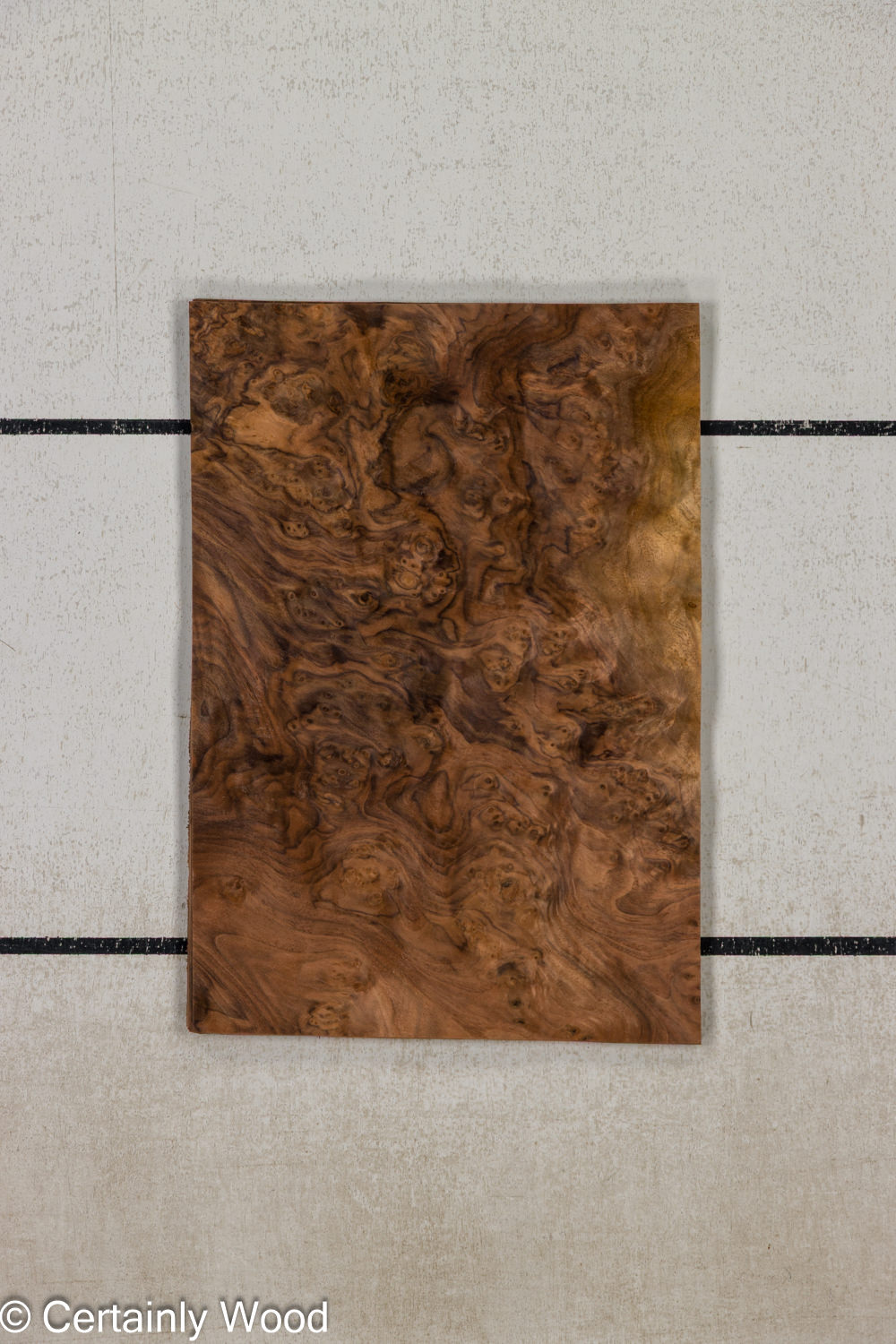 Featured Product Image