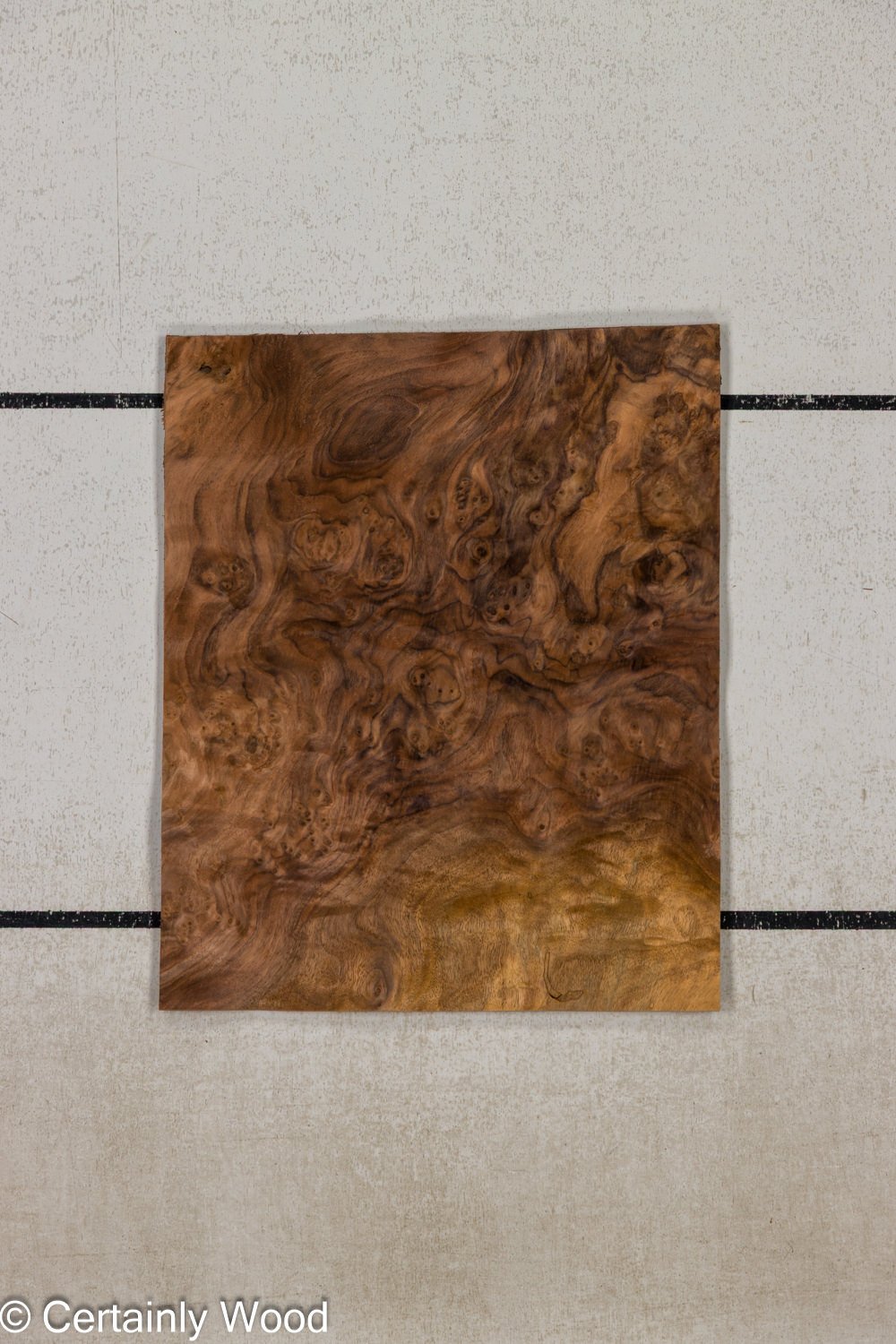 Featured Product Image