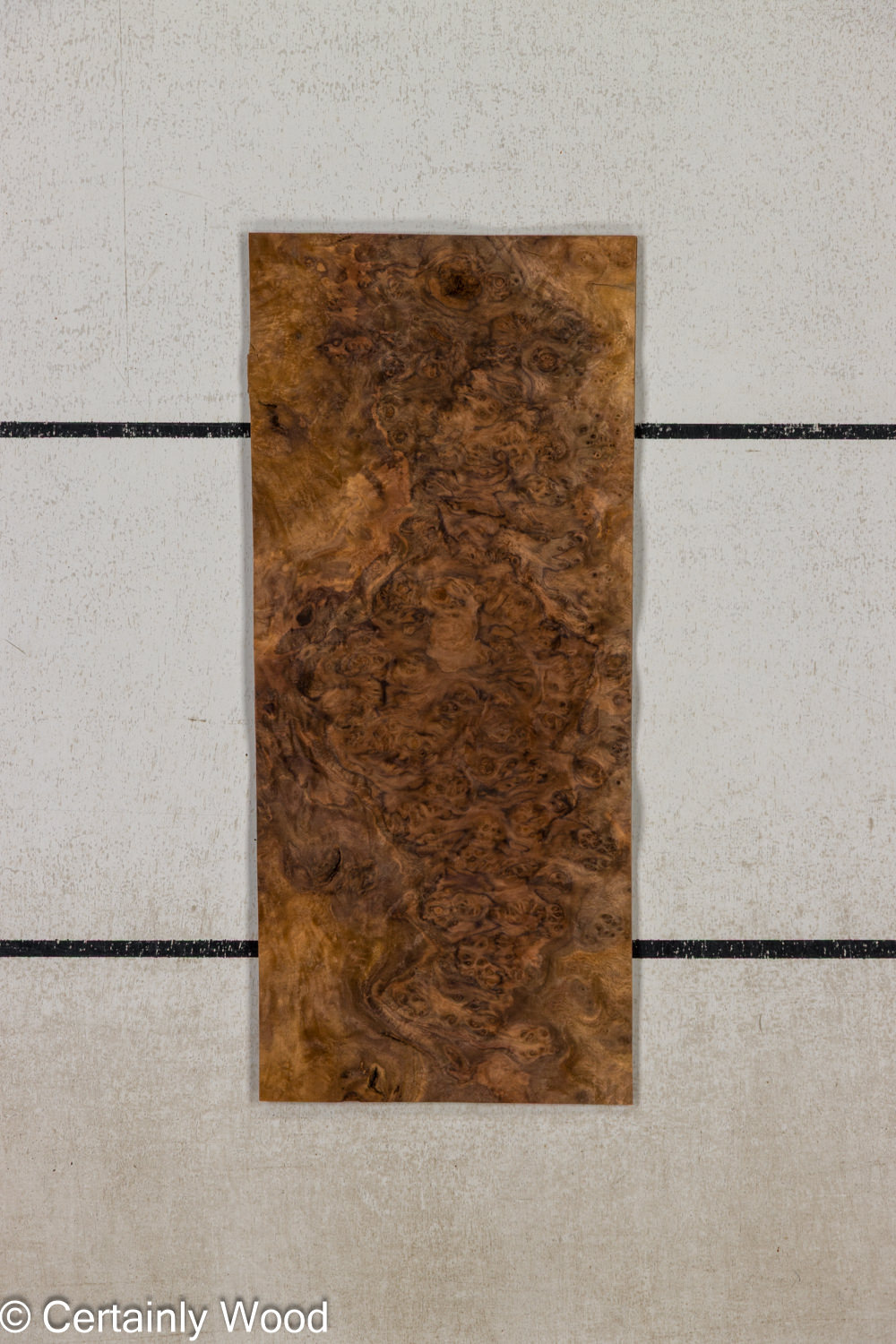 Featured Product Image