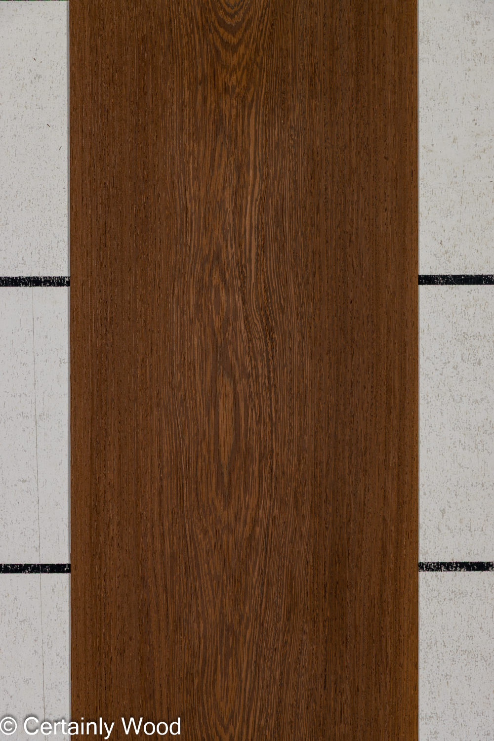 Featured Product Image