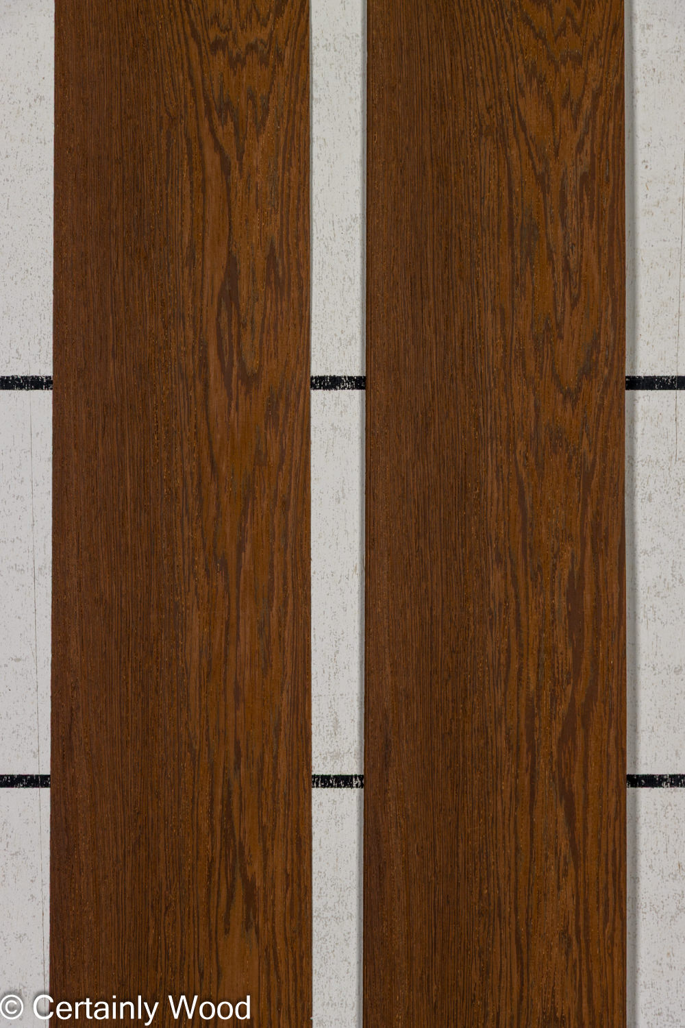 Featured Product Image