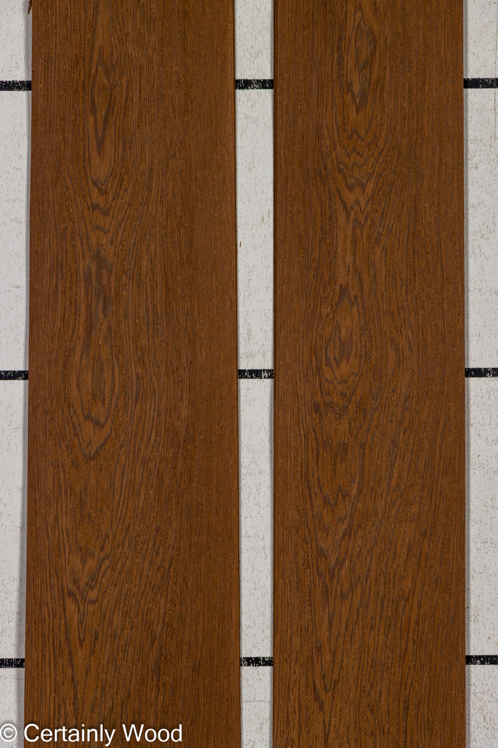 Featured Product Image
